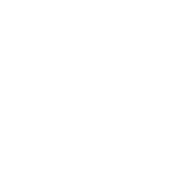 funded by the eu white logo