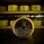 queso-de-oveja-de-la-serena-el-tamujar-cremoso