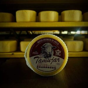 queso-de-oveja-de-la-serena-el-tamujar-cremoso