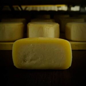 queso-de-oveja-de-la-serena-semicurado-el-tamujar1