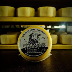 queso-de-oveja-de-la-serena-semicurado-el-tamujar5